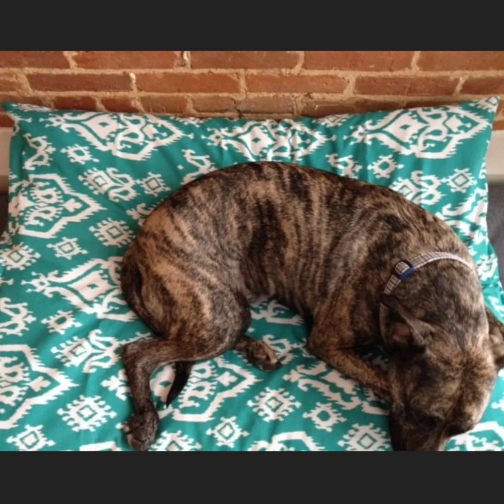For Your Love of Dogs Jade Raji Ikat Dog Bed Cover